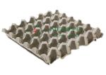 Recycle Paper Fruit Tray Strawberry Tray Egg Tray Making Machine