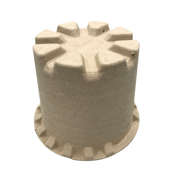 Sugarcane Bagasse Paper Molded Recycled Box Insert Trays Mold Pulp Packaging Biodegradable