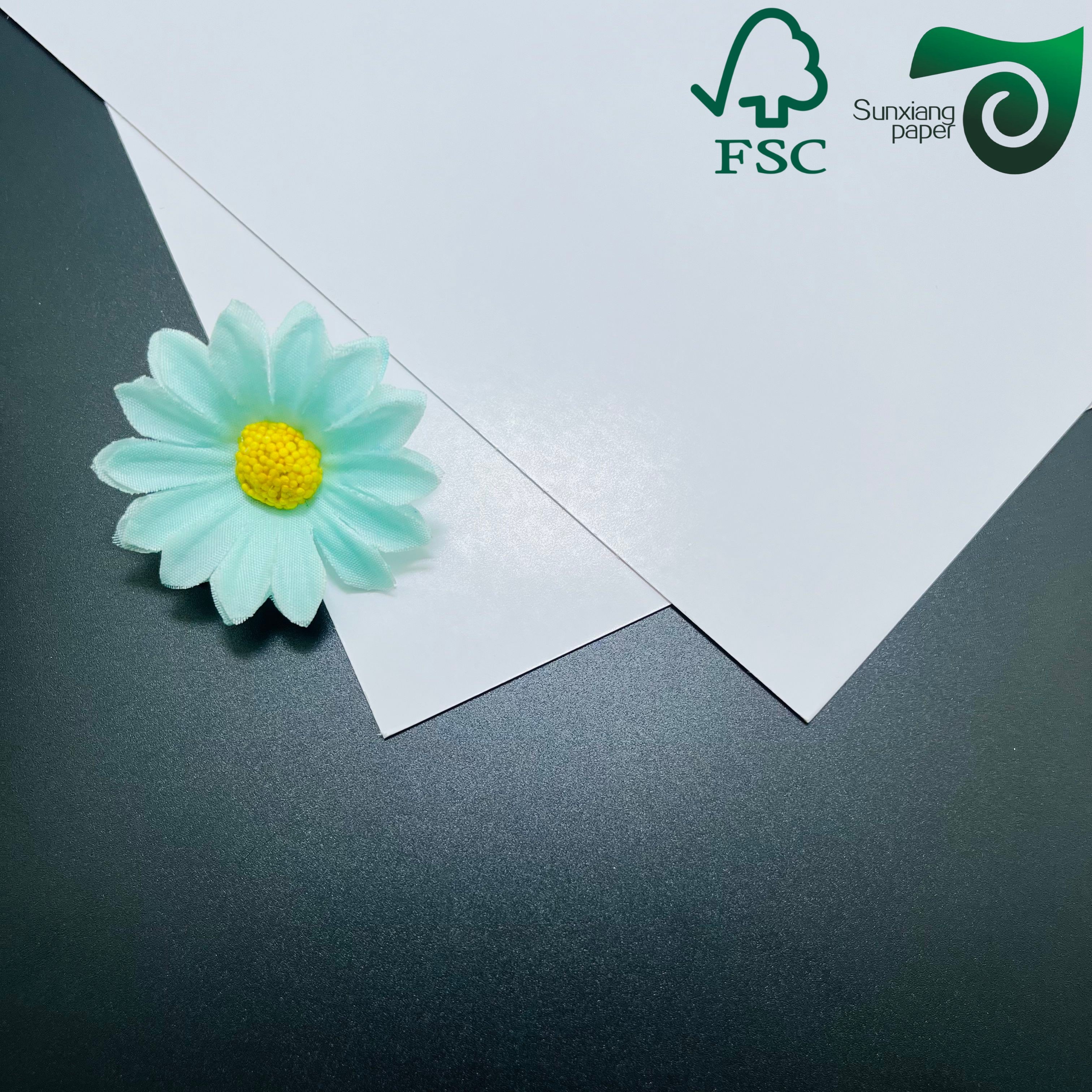 FSC Double Sided Coated Glossy Cover Paper 460mm 650mm With High Printability