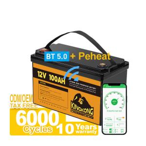 China 110/120/220/230V Output Voltage 12.8V 100Ah 200Ah 300Ah LFP Lithium Ion Battery Pack factory