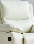 BN Single Assisted Electric Elderly Chair Modern Household Assisted Standing