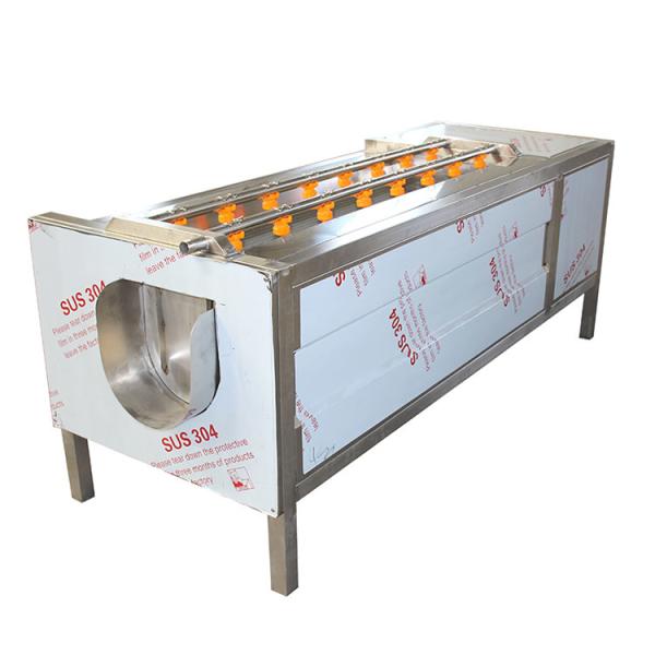 China Automatic Root Vegetable Peeling Machine factory