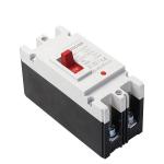250 Amp 2 Poles DC Molded Case Circuit Breaker