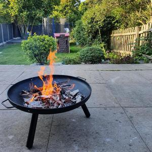 China Camping Brazier Bonfire Bowl Basket BBQ Grill Portable Outdoor factory