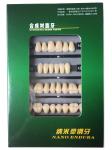 Clear Dental Acrylic Resin Kit Teeth Synthetic 2 Layers Dent Resin Teeth