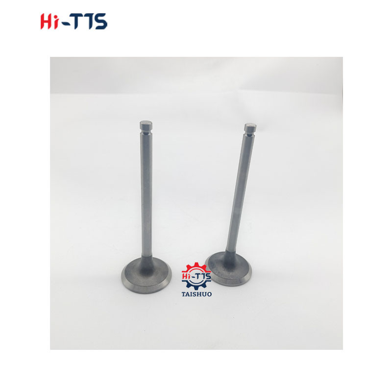 Diesel Engine Valve S4D102 S6D102 Intake and Exhaust Valve 6732-41-4210 6732-41-4110