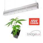 Anti Heavy Moisture Waterproof LED Grow Lights 150 MA 50/60Hz Lightweight