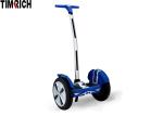 TM-TX-B1 Handrail 10 Inch Tire Hoverboard Multi Color 500W*2 Motor Wheel