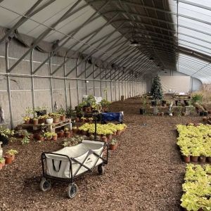 Vegetable Strawberry Greenhouse Large Size Package Size 50.00cm * 60.00cm * 50