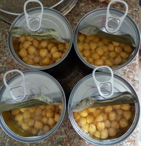 China Mild Taste Chickpeas Canned Garbanzo Beans Extremely Versatile Ingredient factory
