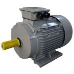 Y2 Fan Cool IE2 1.5KW IP55 3 Phase Asynchronous Motors