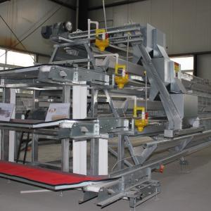 China Cheap Price A Type Chicken Laying Egg Cages factory