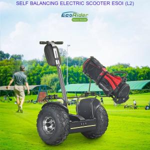China Outdoor Electric Golf Scooter Self Balance 19 Inch Fat Tire Two Wheels Chariot factory