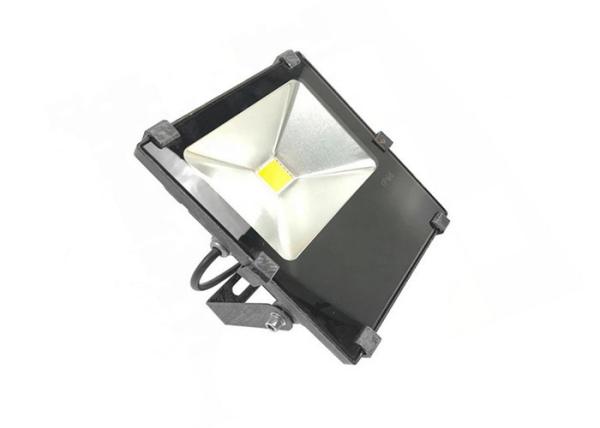 RGB 30W Spot Light AC100-277V Floodlight Fixtures for Park and Garden