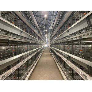 China Eco - Friendly Poultry Cage Construction Smooth Surface Long Life Span on sale