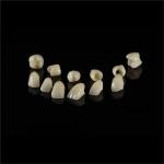 Full Coutour Arch Zirconia Fixed Dentures Crown Biocompatible Material
