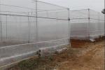 50 Mesh Insect Protection Netting For Agriculture Vegetable Fields Greenhouse