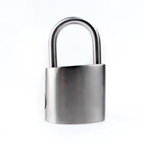 China Heavy Duty All Weather Padlocks Keyed Alike Stainless Steel 50mm factory