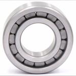 Single Row 0 - 110mm SL18 5022 Full Complement Needle Bearing