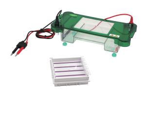 China 1.1 Kg Gel Electrophoresis Equipment , Horizontal Gel Electrophoresis Unit factory
