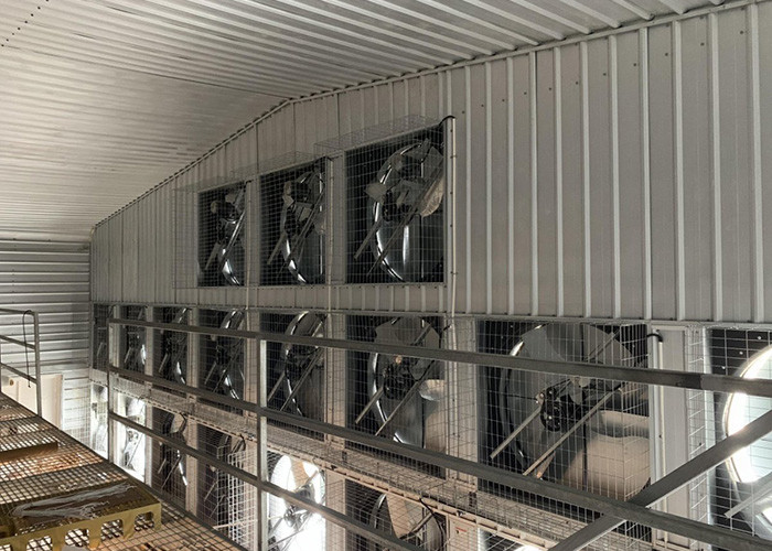 AZ Plate Broiler Chicken Farm Structure Shed Construction 30 Years Life