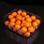 16.5cm Disposable Vegetable Containers