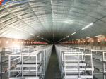 Hot Dip Galvanized Steel Poultry Farm Cage Automatic Meat Broiler Poultry Cage