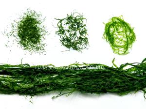 China Ocean-Fresh 600g Turquoise Ulva Prolifera Powder as Seasoning Ingredients factory