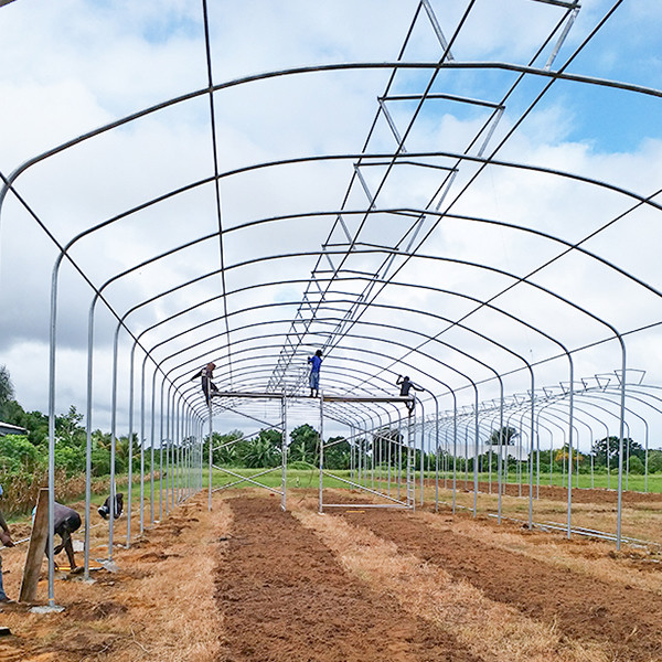 Large Diameter Frame Heavy Duty Greenhouse With Anti Wind Design Easy Installation