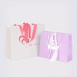 Industrial CMYK 4 Color Offset Printing Paper Bag For Shoes Clothing With Custom