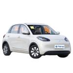 Wuling Binguo Small Electric Vehicles Front Wheel Drive Large Space