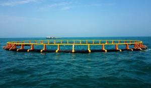 China HDPE Material Aquaculture Net Cage High Extensity Corrosion Resistance factory