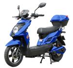 New Arrival Electric Motorbike 48V 500W Strong Power 800W Pedal Assist Electric