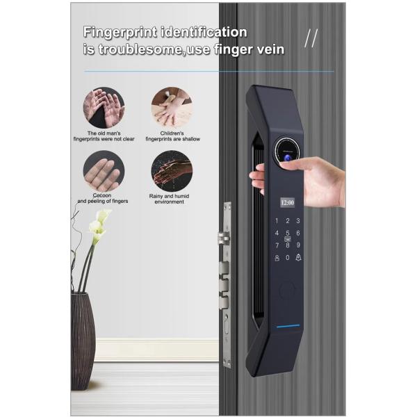 Cloud Data Storage Option end Finger Vein 3D Face Recognition Video Intercom Smart Lock