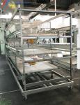 Animal Feeding Chicken Layer Cages 8 Tiers 9 Tiers H Type Layer Hen Cage