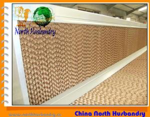 China Huabo automatic poultry equipment in qingdao factory