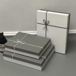 Luxury Lid And Base Cardboard Gift Packaging Box With Bowknot