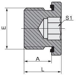 China BSPT Male Connection Hydraulic Tube Fitting with Captive Seal Hollow Hex Plug 4bn-Wd factory