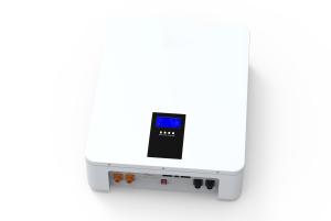 China High Performance 5KW 51.2V Wall Mount Lithium Battery Energy Storage System factory