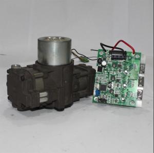 China GSE Oil Less Air Compressor VPSA 24V DC 145W Vacuum Pressure Pump factory