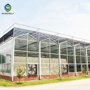 China Stable Hot Galvanized Steel Venlo Glass Greenhouse 3.0mm Thickness on sale