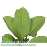 80cm Nearly Natural Looking Oak Tree Faux Plants Ornamental Indoor Tree
