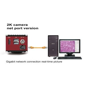 HDMI 60FPS Microscope Digital Camera With Gigabit Network Interface