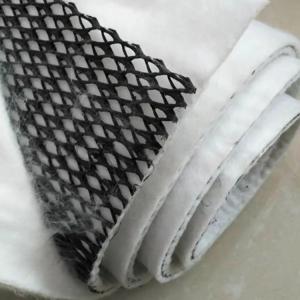 China Good Water Permeability Simple Construction 3D Composite Drainage Geonet for Drainage factory