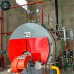 3t/h 3TPH 3000kg WNS Industrial Use Natural Gas Lpg Fired Steam Boiler For