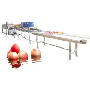 China Stainless Steel Fruit Vegetable Washing Machine Line Lettuce Onion Apple Peach factory