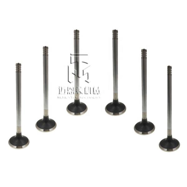 Inlet valve exhaust valve 0420 9111 0425 5255 0428 3381 04289248 04255254