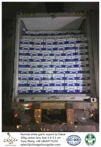 China Garlic to Senegal with 10kg carton box.Purple garlic export. factory