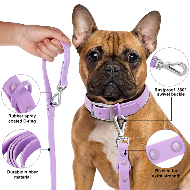 5.5 Feet Durable Reinforced Training Pet Collar Leash 3pcs Waterproof