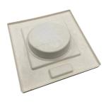 Biodegradable Bamboo Paper Tray OEM Acceptable Oilproof Staticproof
